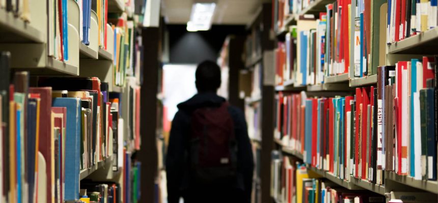 Probleme von Bibliotheken an Universitäten - ein Beitrag